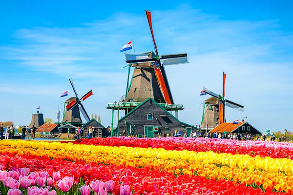 Netherland